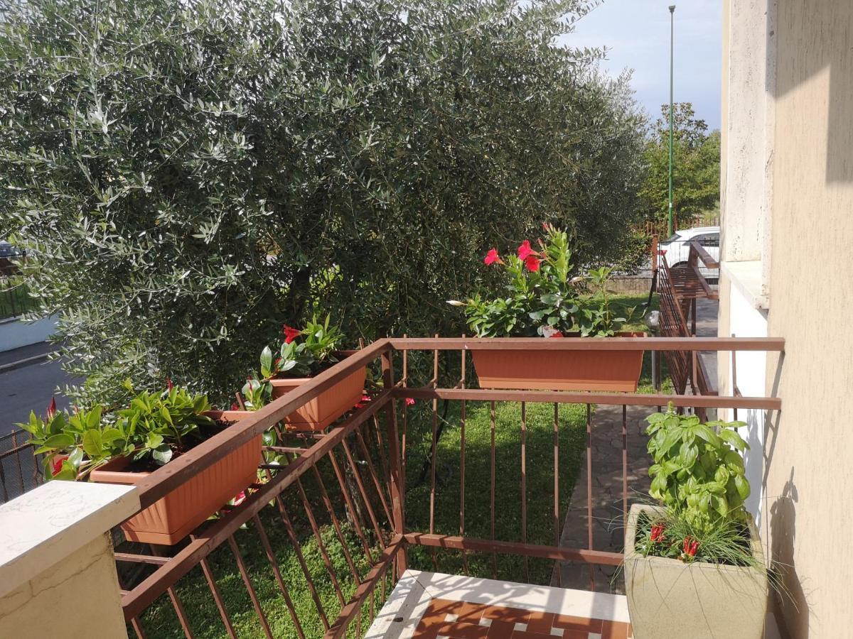 Appartamento Ai Quattro Ulivi Peschiera del Garda Esterno foto