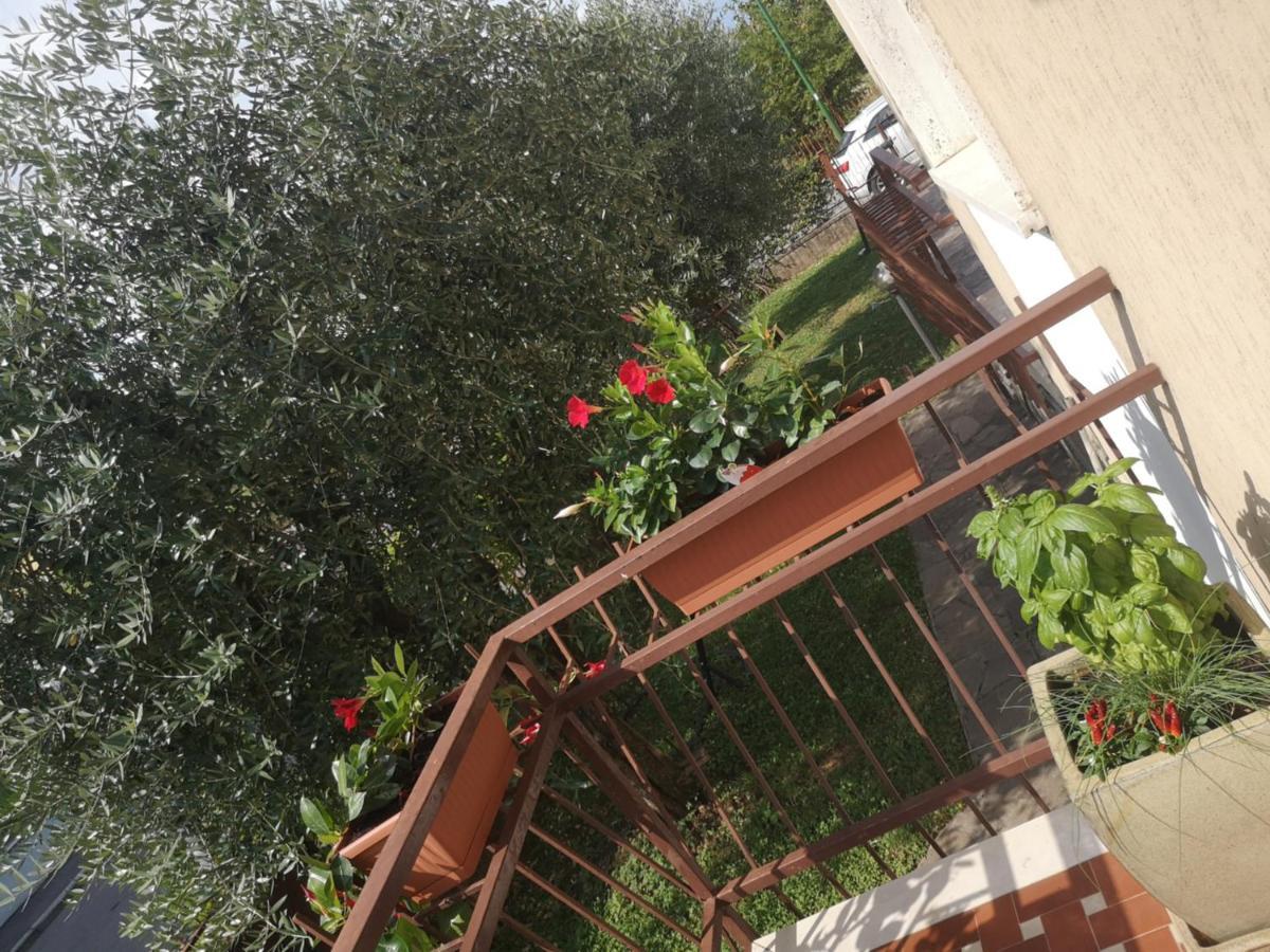 Appartamento Ai Quattro Ulivi Peschiera del Garda Esterno foto