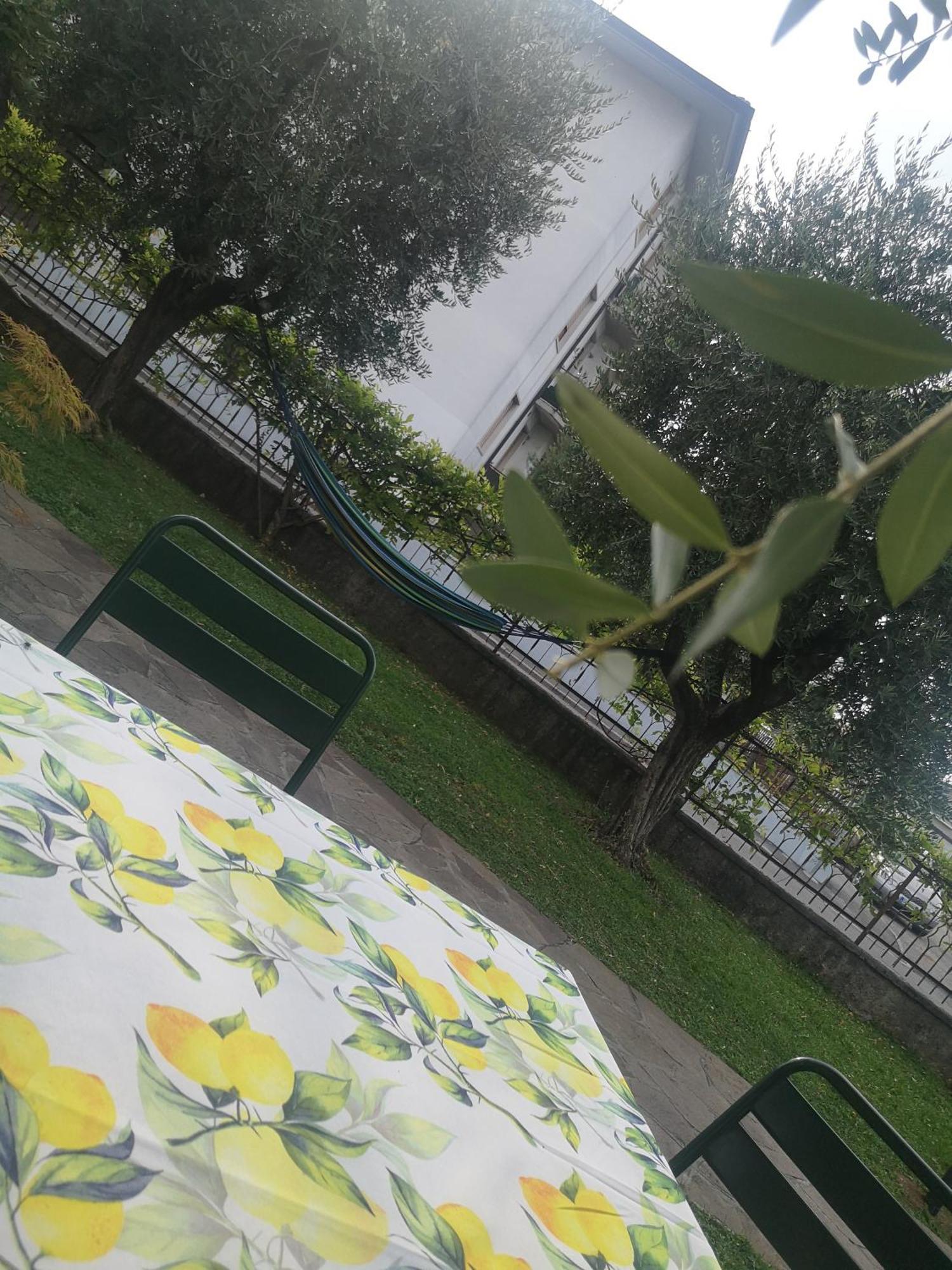 Appartamento Ai Quattro Ulivi Peschiera del Garda Esterno foto
